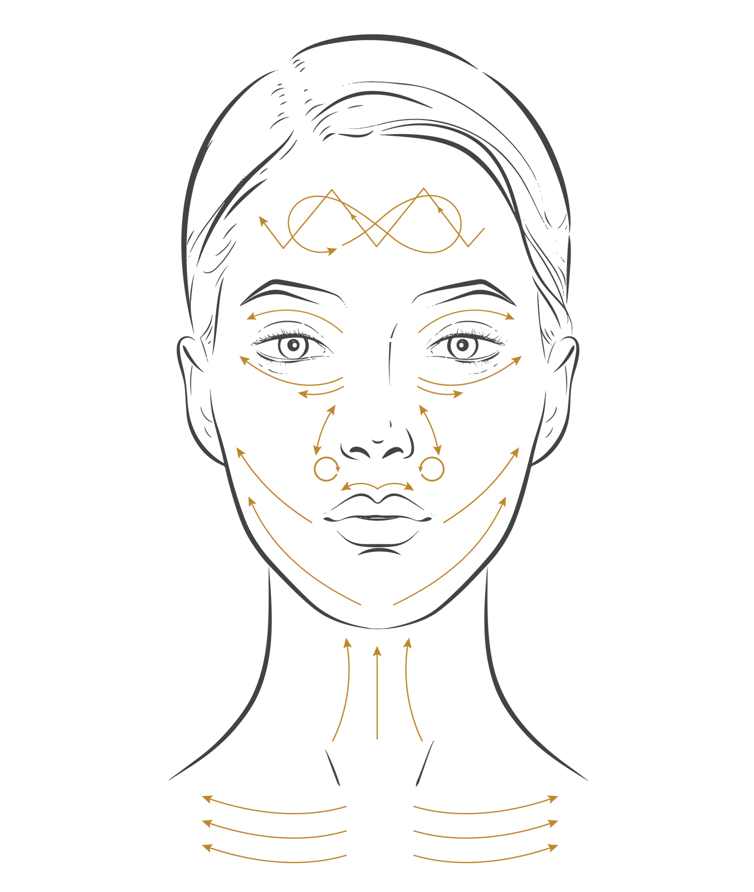 Art of Vedas Kansa Wand Marma massage guide - face anatomy diagram showing Ayurvedic facial massage points and techniques for natural skincare